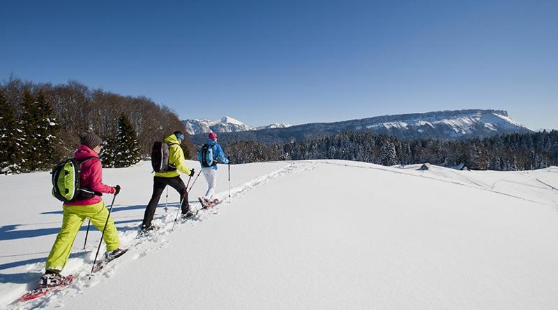 Les Chalets De Ludran Viuz-en-Sallaz Экстерьер фото