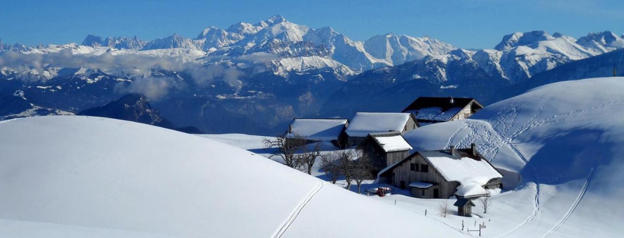 Les Chalets De Ludran Viuz-en-Sallaz Экстерьер фото