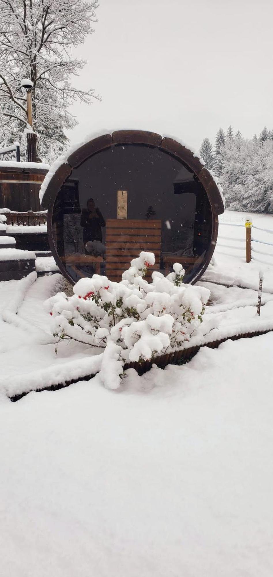 Les Chalets De Ludran Viuz-en-Sallaz Экстерьер фото